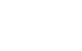 Distilleria Bortolo Nardini logo