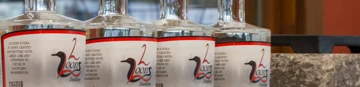 2 Loons Distillery logo