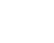 TiflisiDistillery logo