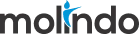 PT Molindo Raya Industrial logo
