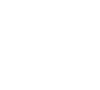Fortín S.A. logo