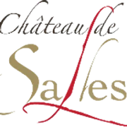 Château de Salles logo