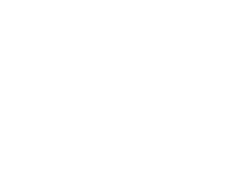 Anadolu Efes Biracılık ve Malt Sanayii A.Ş. logo