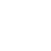 Ann Arbor Distilling Company, LLC logo