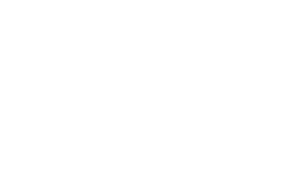 Anonima Distillazioni S.r.l. logo