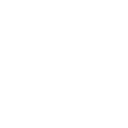 Apikol - Distillerie & Hydromellerie logo