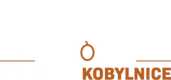 Aromapal logo