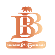 BB Klekovača logo