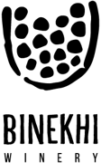 Vazi+ LLC logo