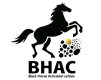 Black Horse Carbon (Shanghai Black Horse Carbon Co., Ltd.) logo