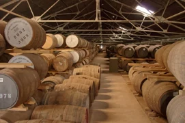Bladnoch Distillery logo