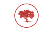 Bodega y Viñedos Magnus logo