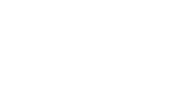 Castle DISTILLERY logo