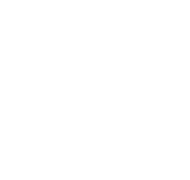Twins Wine Cellar in Napareuli logo