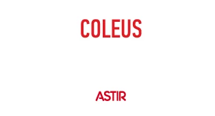 Coleus Packaging (Pty) Ltd logo