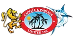 Capelle & Partner Limited Inc. logo