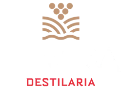 Destilaria Levira logo