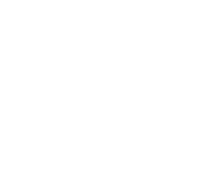 Destylernia Kamień Sp. z o.o. logo
