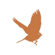 Distillerie de Namur logo