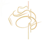 Distillerie Rolland logo