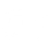 Drop Zone Distilling Company, LLC logo