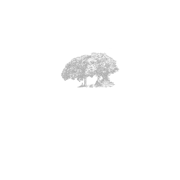 Tipperary Boutique Distillery logo