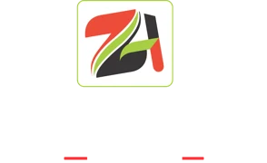 Zheng Hong Kenya Ltd logo