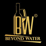 Beyond Water logo