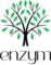 Enzym logo