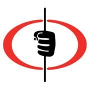 Dings Magnetic Group logo