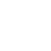 Detroit Stillworks logo