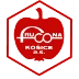 FRUCONA Košice, a.s. logo