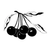 Francisco Espinheira & Cia, Lda. (A Ginjinha Espinheira) logo