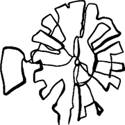 Great Karoo Spirit logo