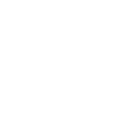Gypsy Vodka logo