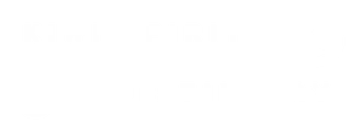 Kiwi Spirit Distillery logo