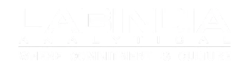 Labindia Analytical Instruments Pvt. Ltd. logo
