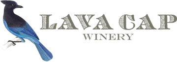 Lava Springs, Inc. logo
