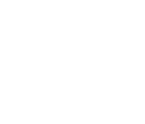 LionSpirit Winery & Distillery logo