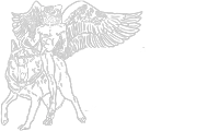 1000 Demonios S.A.S. logo