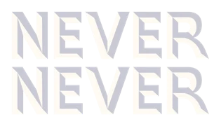 Never Never Distilling Co logo