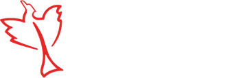 Phoenix Packaging logo