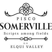 Destilería Pisco Somerville logo