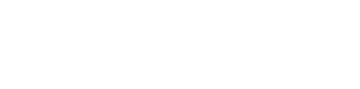 Top Tier Palletizers / Robopac logo