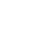 Safe House Distilling Co. logo