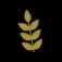 Saillt Mor logo