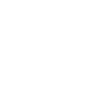 Sawyer's Brewing Company, LLC logo