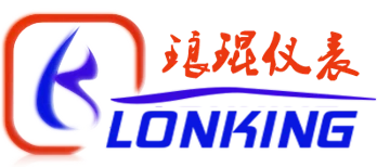 Shanghai Longkin Instrument Co., Ltd. (上海琅琨仪器仪表有限公司) logo