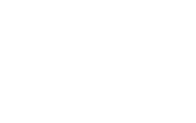 Sprit & Co ApS logo