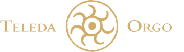 Teleda / Orgo logo